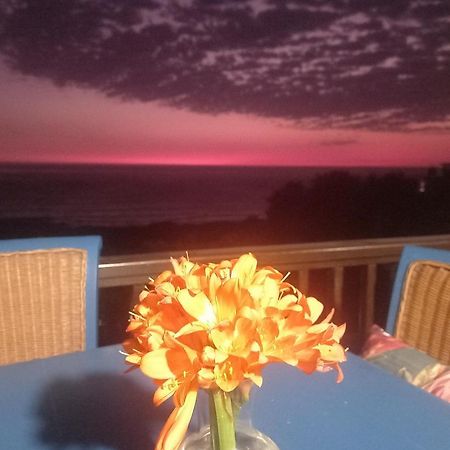 케이프타운 Mussel Beach Holiday Lets 아파트 외부 사진